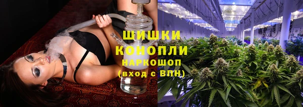 сатива Алзамай