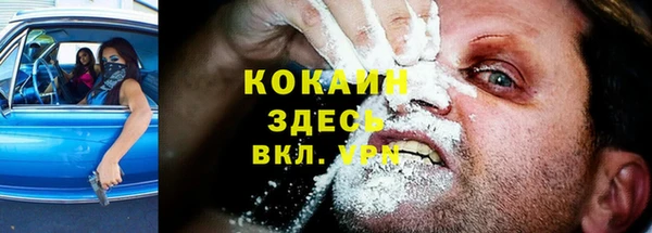 эйфоретик Покачи