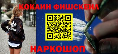 индика Камышлов