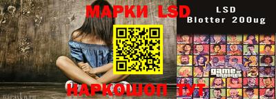 индика Камышлов