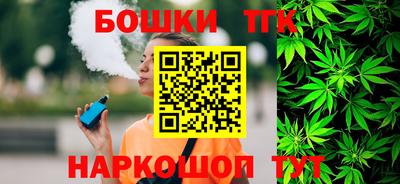 индика Камышлов