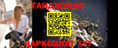 индика Камышлов