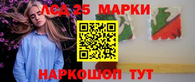 стаф Кинель