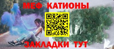индика Камышлов